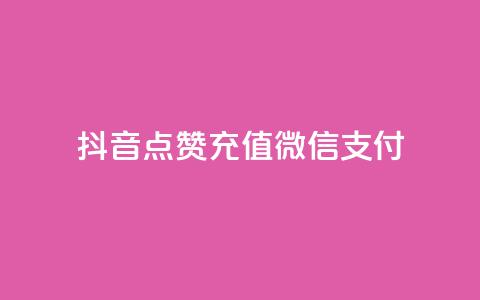 抖音点赞充值微信支付 - 抖音点赞如何通过微信支付进行充值~  第1张 抖音点赞充值微信支付 - 抖音点赞如何通过微信支付进行充值~  第1张