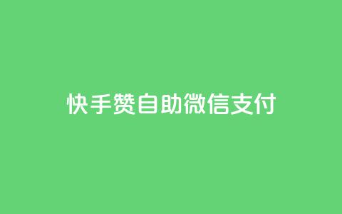 快手赞自助微信支付 - 快手赞微信支付自助操作指南!  第1张 快手赞自助微信支付 - 快手赞微信支付自助操作指南!  第1张