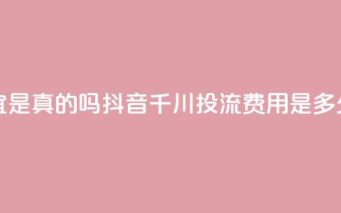 快手丝便宜是真的吗 - 抖音千川投流费用是多少钱  第1张 快手丝便宜是真的吗 - 抖音千川投流费用是多少钱  第1张