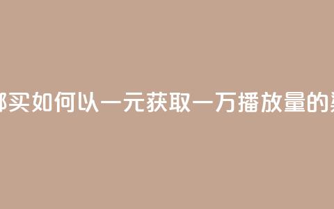 1块钱1w播放量在哪买 - 如何以一元获取一万播放量的渠道揭秘!  第1张 1块钱1w播放量在哪买 - 如何以一元获取一万播放量的渠道揭秘!  第1张