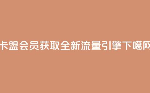卡盟会员:获取全新流量引擎  第1张 卡盟会员:获取全新流量引擎  第1张