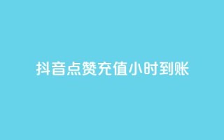 抖音点赞充值24小时到账,DY评论区自定义 - 抖音评论业务24小时 - qq空间万能查看器2024手机版