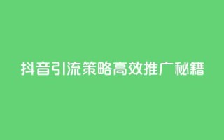 抖音引流策略：高效推广秘籍