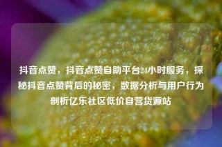 抖音点赞,抖音点赞自助平台24小时服务,探秘抖音点赞背后的秘密,数据分析与用户行为剖析亿乐社区低价自营货源站