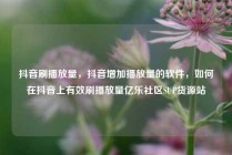 抖音刷播放量,抖音增加播放量的软件,如何在抖音上有效刷播放量亿乐社区SUP货源站
