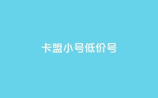卡盟qq小号低价号 - 购买低价QQ小号,找卡盟助手~