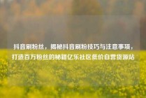 抖音刷粉丝,揭秘抖音刷粉技巧与注意事项,打造百万粉丝的秘籍亿乐社区低价自营货源站