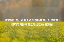 抖音刷粉丝,如何有效利用抖音提升粉丝数量,技巧与策略指南亿乐社区SUP货源站