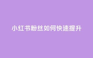 小红书500粉丝如何快速提升？
