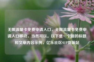 无限流量卡免费申请入口,无限流量卡免费申请入口移动,当然可以。以下是一个新的标题和文章内容示例,亿乐社区SUP货源站