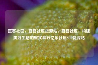 直客社区,直客社区货源站,直客社区,构建美好生活的坚实基石亿乐社区SUP货源站