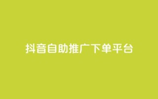 抖音24h自助推广下单平台 - 抖音24小时在线推广自助下单平台,优质服务等你来!