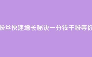 抖音粉丝快速增长秘诀,一分钱千粉等你来抢