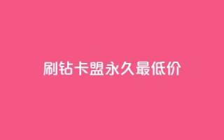 qq刷钻卡盟永久最低价 - 永久最低价:qq刷钻卡盟超实惠~