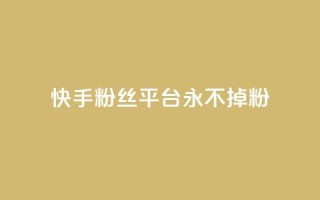 快手粉丝平台+永不掉粉,南荷网络24小时在线下单平台优惠 - 抖音业务下单24小时便宜 - QQ人气访客