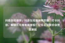 抖音在线播放,抖音在线播放网页版,打卡抖音,解锁在线观看新体验!亿乐社区低价自营货源站