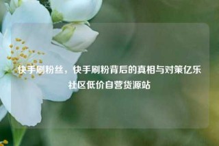 快手刷粉丝，快手刷粉背后的真相与对策亿乐社区低价自营货源站