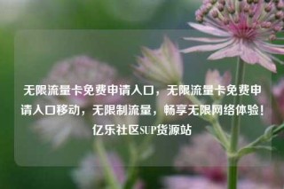 无限流量卡免费申请入口,无限流量卡免费申请入口移动,无限制流量,畅享无限网络体验!亿乐社区SUP货源站