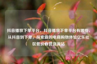 抖音播放下单平台,抖音播放下单平台有哪些,从抖音到下单,探索新的电商购物体验亿乐社区低价自营货源站