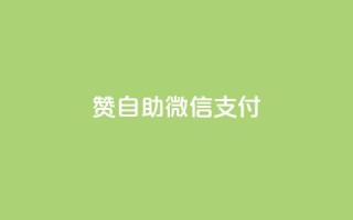 Ks赞自助微信支付,快手低价上热门 - 24小时秒单业务平台免费 - 快手最低价下单平台