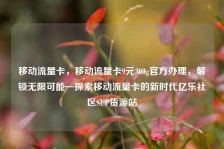 移动流量卡,移动流量卡9元300g官方办理,解锁无限可能—探索移动流量卡的新时代亿乐社区SUP货源站