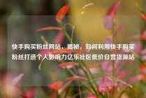 快手购买粉丝网站,揭秘,如何利用快手购买粉丝打造个人影响力亿乐社区低价自营货源站