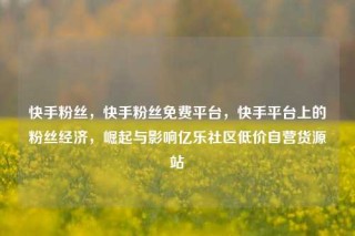 快手粉丝,快手粉丝免费平台,快手平台上的粉丝经济,崛起与影响亿乐社区低价自营货源站