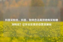 抖音买粉丝,抖音,如何合法高效地购买和增加粉丝?亿乐社区低价自营货源站