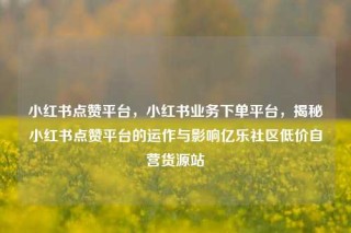 小红书点赞平台,小红书业务下单平台,揭秘小红书点赞平台的运作与影响亿乐社区低价自营货源站