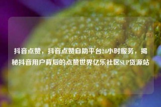 抖音点赞,抖音点赞自助平台24小时服务,揭秘抖音用户背后的点赞世界亿乐社区SUP货源站