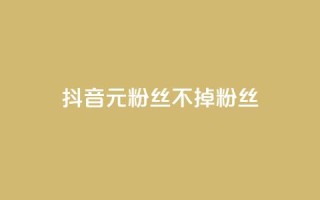 抖音1元3000粉丝不掉粉丝,24小时在线出售快手号 - ks免费业务平台call - 抖音自助平台业务下单秒到