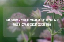 抖音买粉丝,如何利用抖音提升影响力并购买粉丝?亿乐社区低价自营货源站
