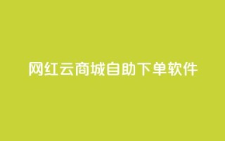 网红云商城自助下单软件,dy业务自助下单在线 - 抖音快手业务网 - dy低价下单平台闪电