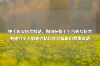 快手购买粉丝网站,如何在快手平台购买粉丝并建立个人影响力亿乐社区低价自营货源站