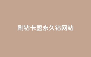 刷钻卡盟永久钻网站 - 刷钻卡盟稳妥提升等级的永久解决方案!
