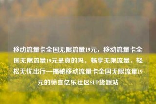 移动流量卡全国无限流量19元,移动流量卡全国无限流量19元是真的吗,畅享无限流量,轻松无忧出行—揭秘移动流量卡全国无限流量19元的惊喜亿乐社区SUP货源站