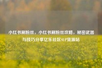 小红书刷粉丝,小红书刷粉丝攻略,秘密武器与技巧分享亿乐社区SUP货源站