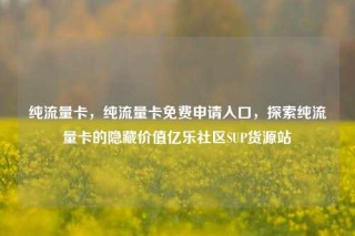 纯流量卡,纯流量卡免费申请入口,探索纯流量卡的隐藏价值亿乐社区SUP货源站