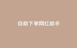 自助下单网红助手,刷qq空间访客量十万 - 黑科技引流工具快手 - 点赞链接入口