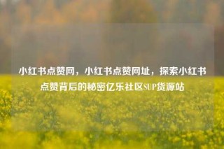 小红书点赞网,小红书点赞网址,探索小红书点赞背后的秘密亿乐社区SUP货源站