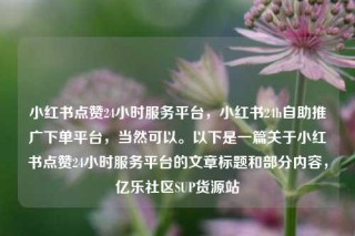 小红书点赞24小时服务平台,小红书24h自助推广下单平台,当然可以。以下是一篇关于小红书点赞24小时服务平台的文章标题和部分内容,亿乐社区SUP货源站
