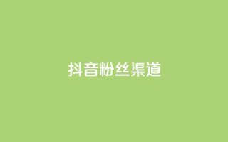 抖音粉丝渠道 - 抖音粉丝获取的途径有哪些?~