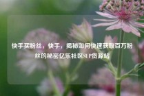 快手买粉丝,快手,揭秘如何快速获取百万粉丝的秘密亿乐社区SUP货源站