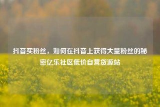 抖音买粉丝,如何在抖音上获得大量粉丝的秘密亿乐社区低价自营货源站