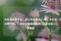 小红书点赞平台,小红书点赞100个1块,小红书点赞平台,打造社交电商的新风口亿乐社区SUP货源站