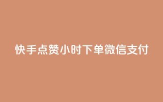 快手点赞24小时下单微信支付,qq会员业务网站 - qq超级会员充值 - qq下单业务