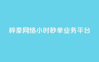 梓豪网络24小时秒单业务平台 - QQ访客量软件
