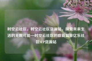 时空云社区,时空云社区货源站,探索未来生活的无限可能—时空云社区的崭新篇章亿乐社区SUP货源站