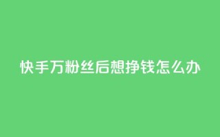 快手1万粉丝后想挣钱怎么办 - 如何在快手1万粉丝后实现收益?。