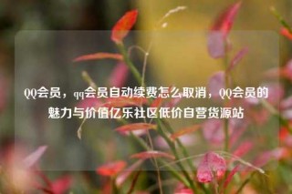 QQ会员,qq会员自动续费怎么取消,QQ会员的魅力与价值亿乐社区低价自营货源站